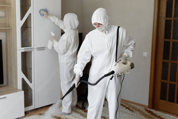 Best Black Mold Removal  in Fort Bliss, TX